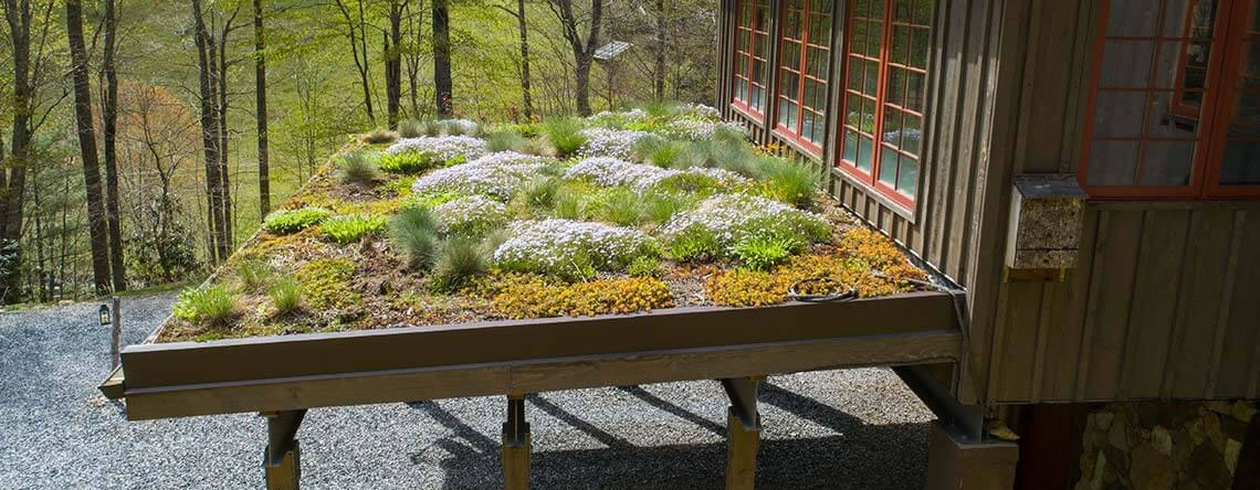 Green builders living roof by Sineath Construction