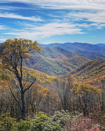 Fall foliage in the Western Carolina - Asheville area